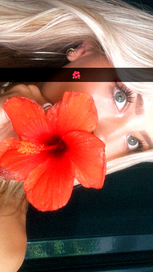 surfsterre image ~ Altpins