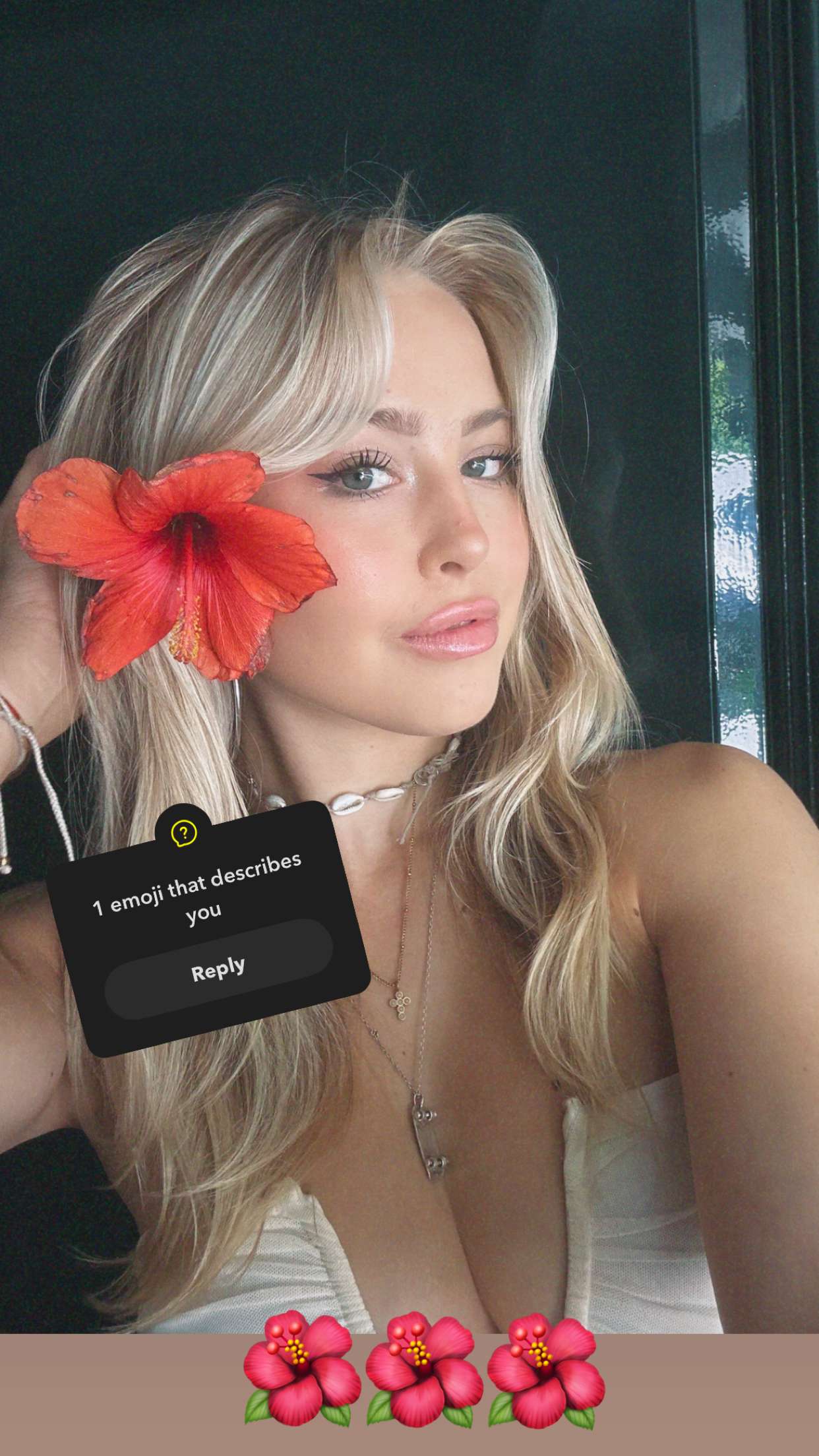 surfsterre snapchat image archive image