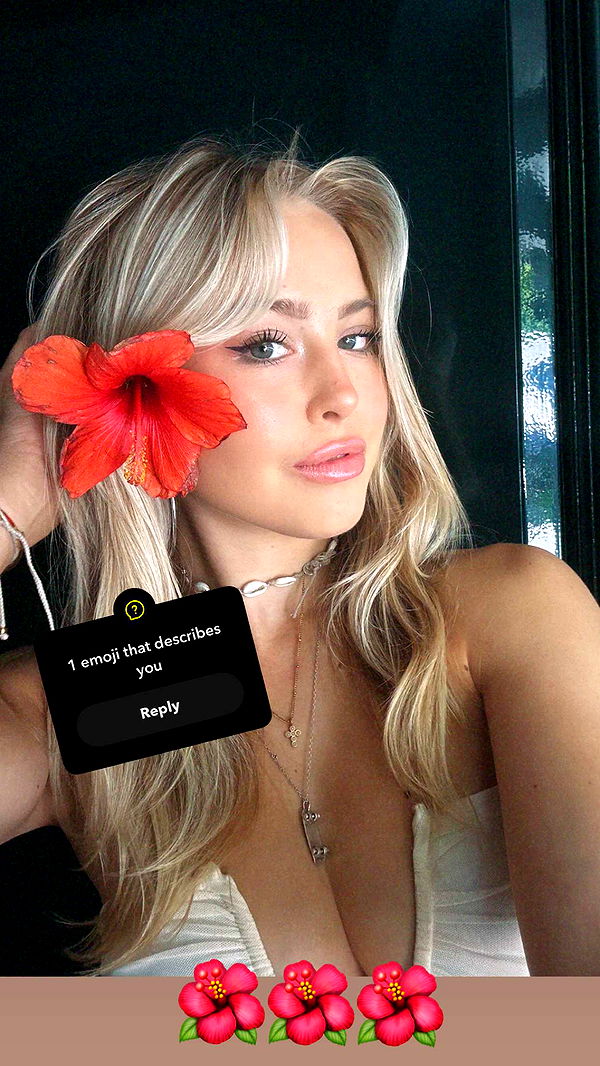 surfsterre image ~ Altpins