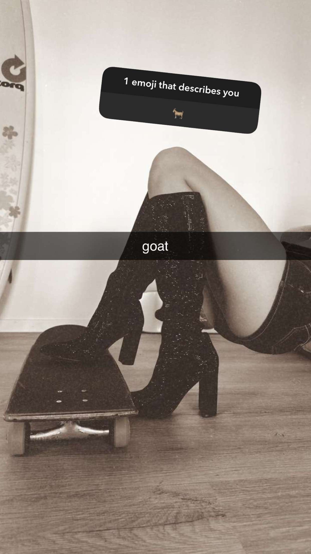 surfsterre snapchat image archive image