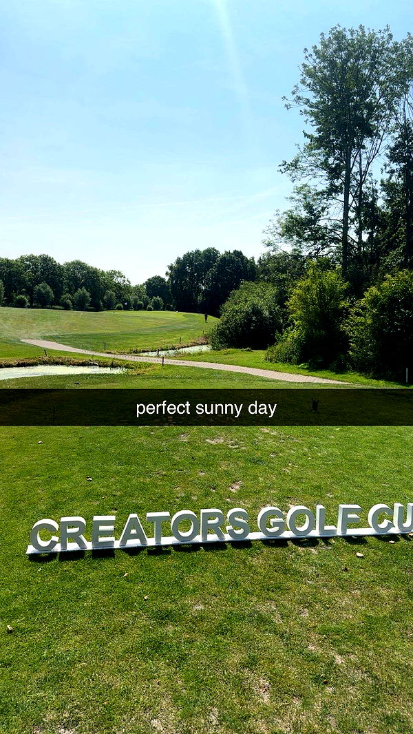 surfsterre image ~ Altpins