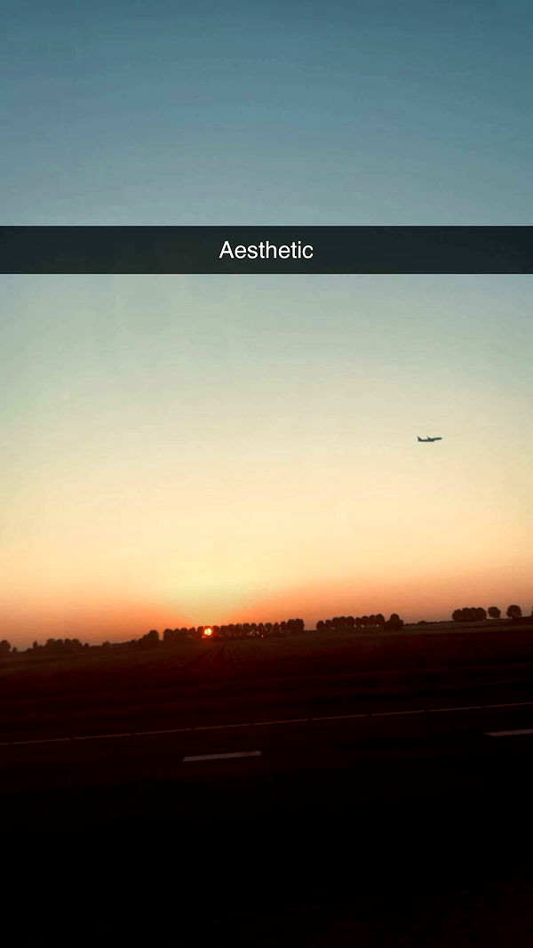 surfsterre image ~ Altpins