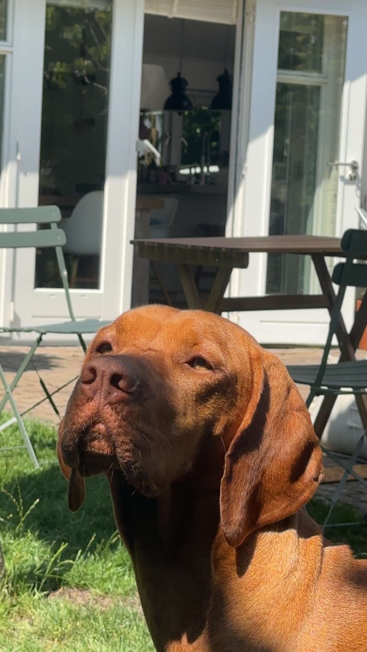 surfsterre snapchat image archive image