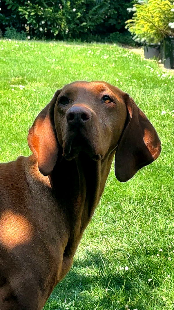 surfsterre image ~ Altpins