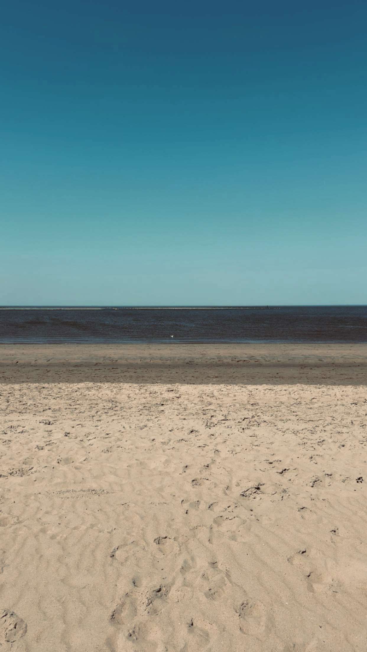 surfsterre snapchat image archive image