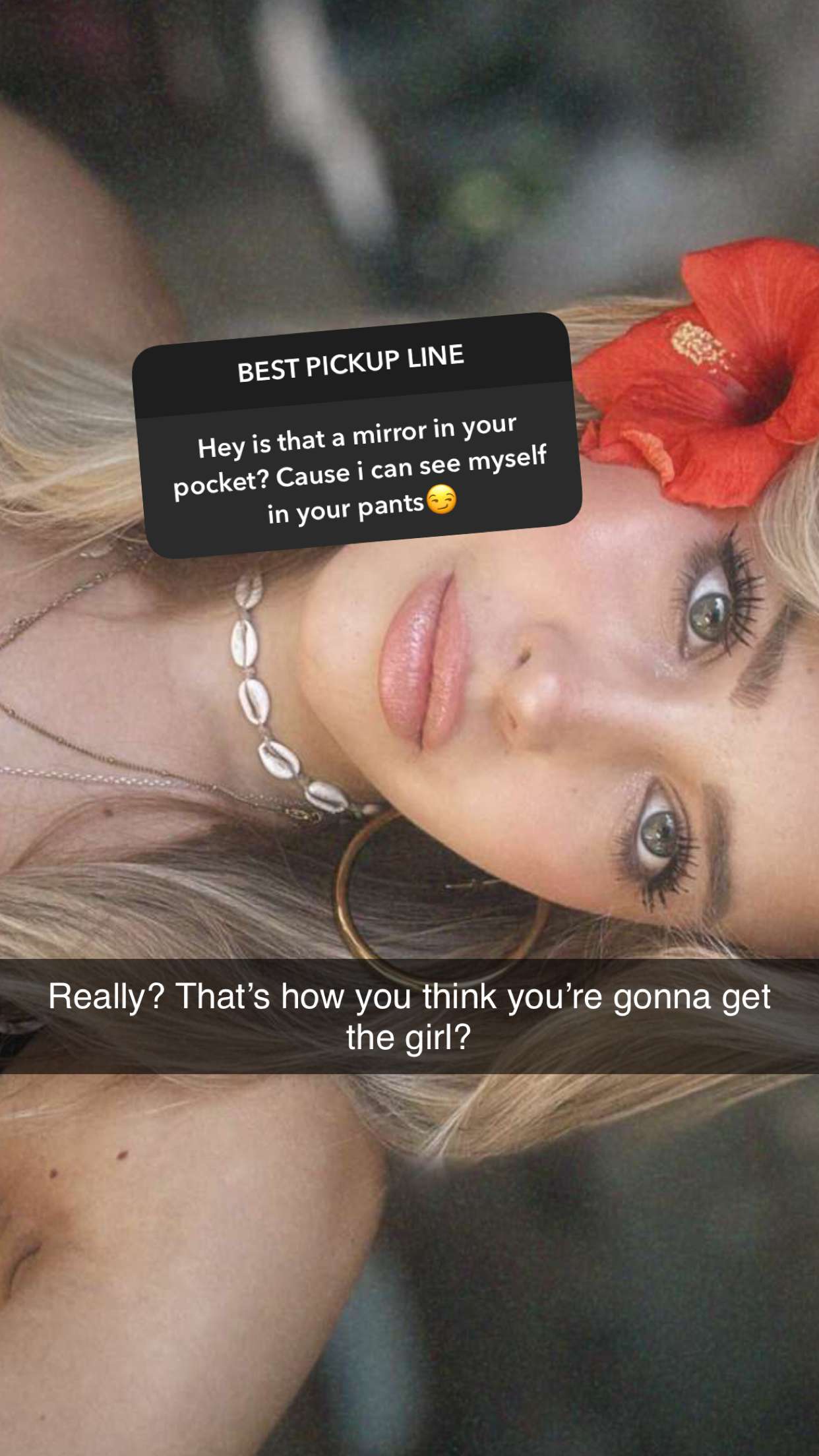 surfsterre snapchat image archive image