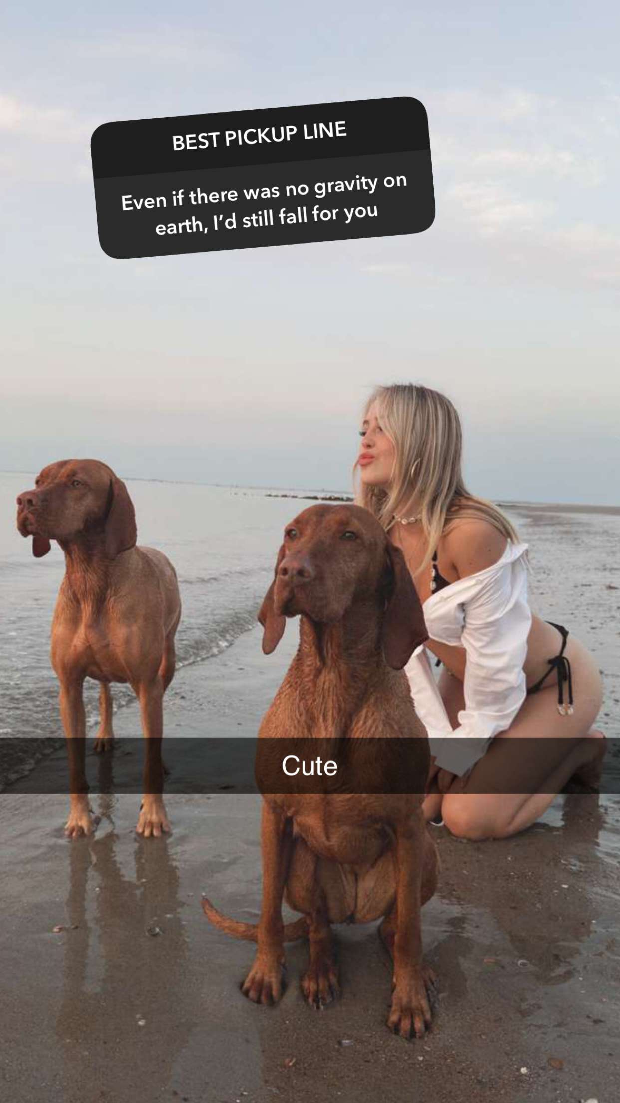 surfsterre snapchat image archive image