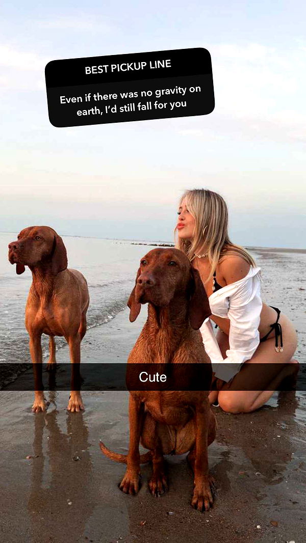 surfsterre image ~ Altpins