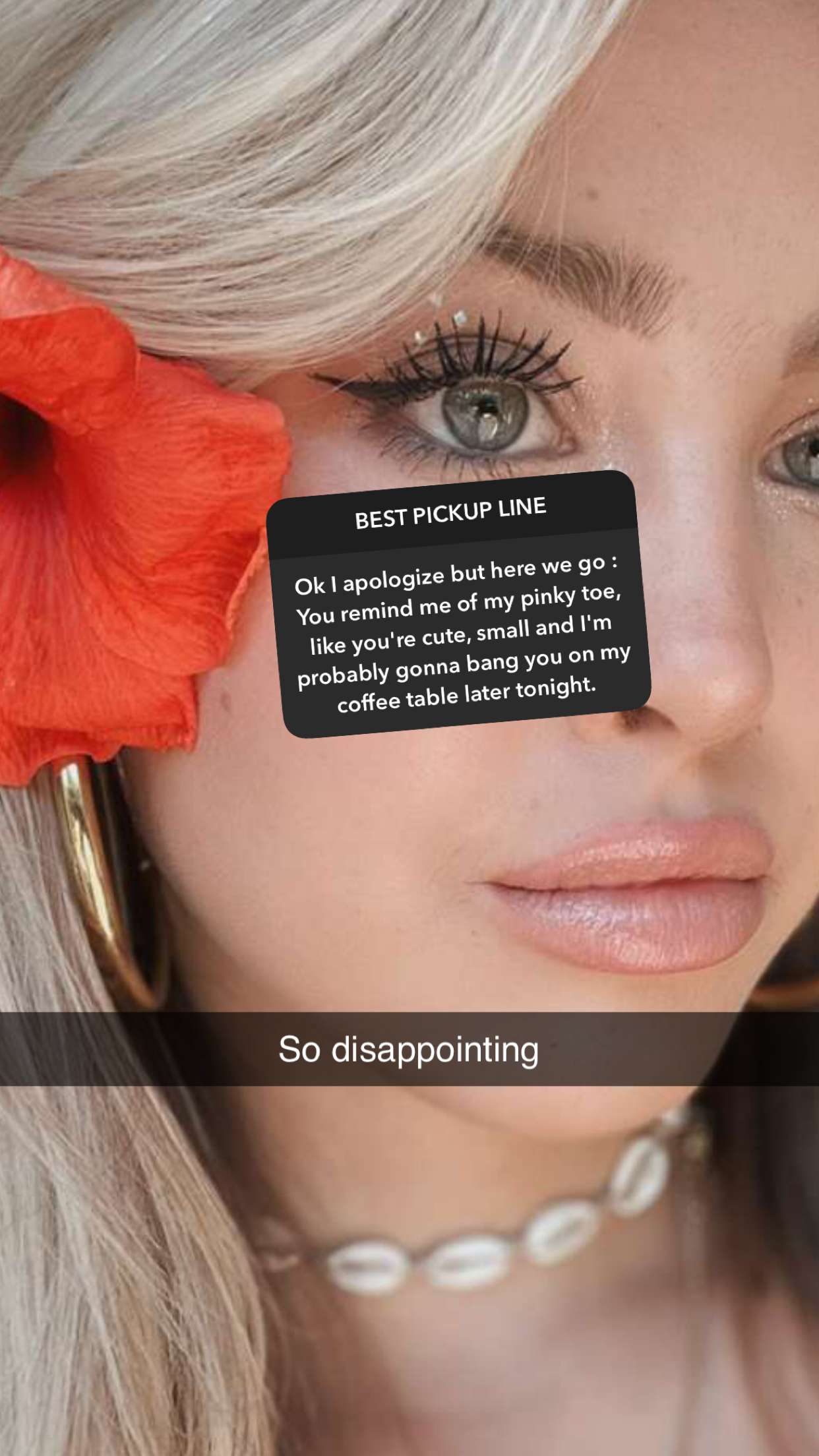 surfsterre snapchat image archive image