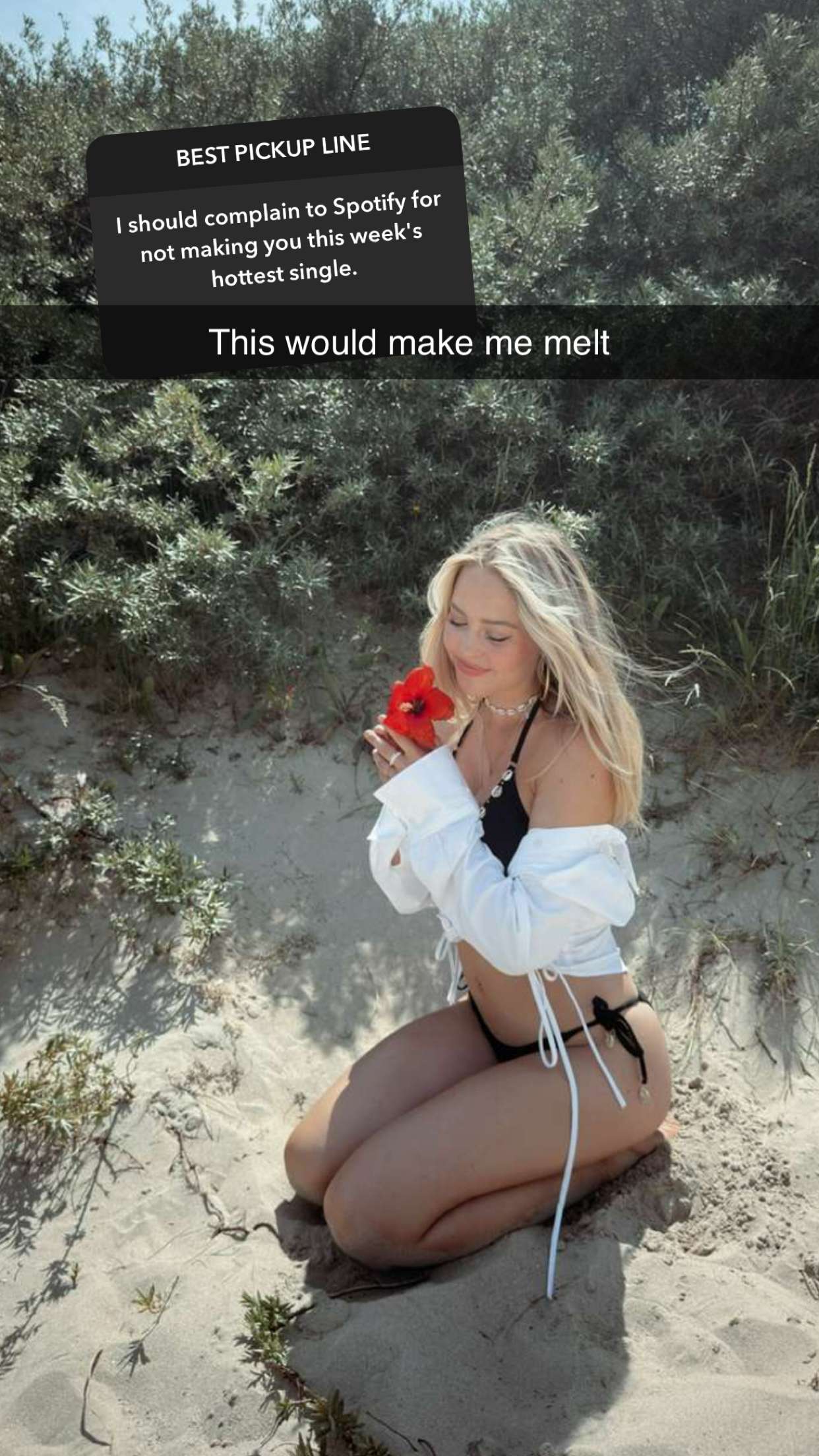 surfsterre snapchat image archive image