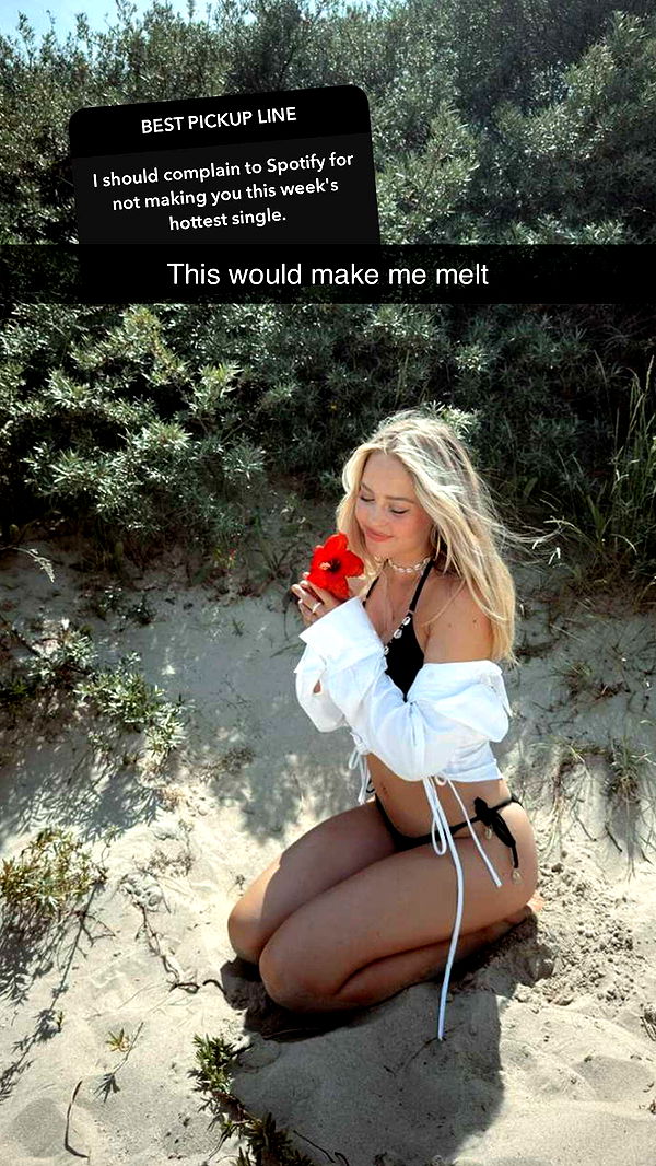 surfsterre image ~ Altpins