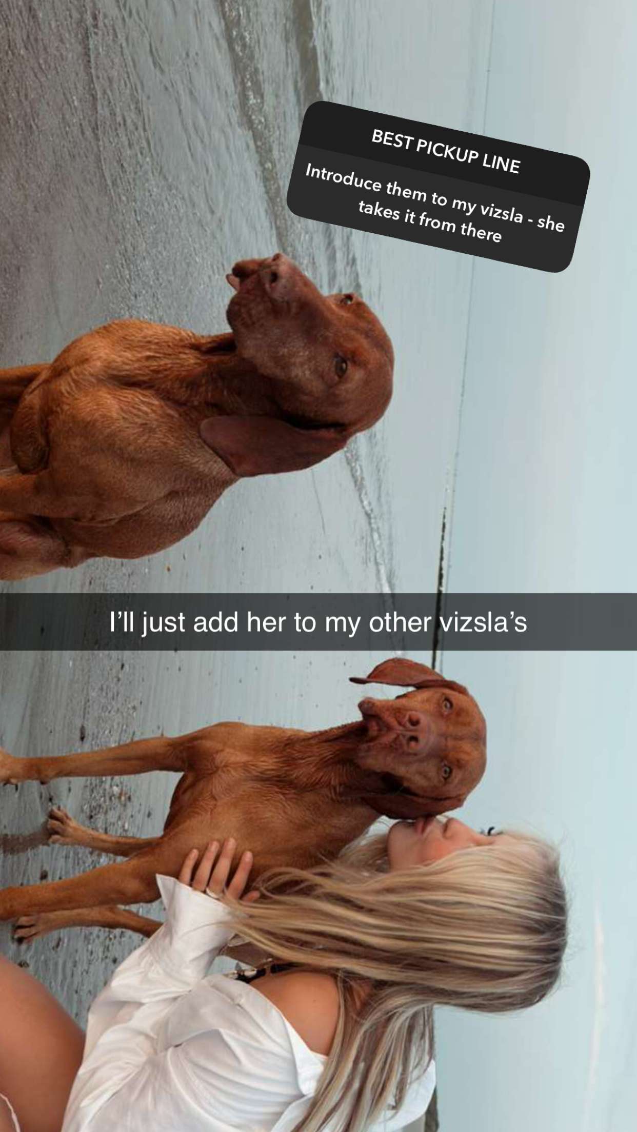 surfsterre snapchat image archive image