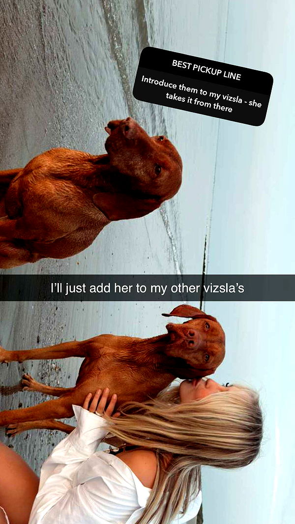 surfsterre image ~ Altpins