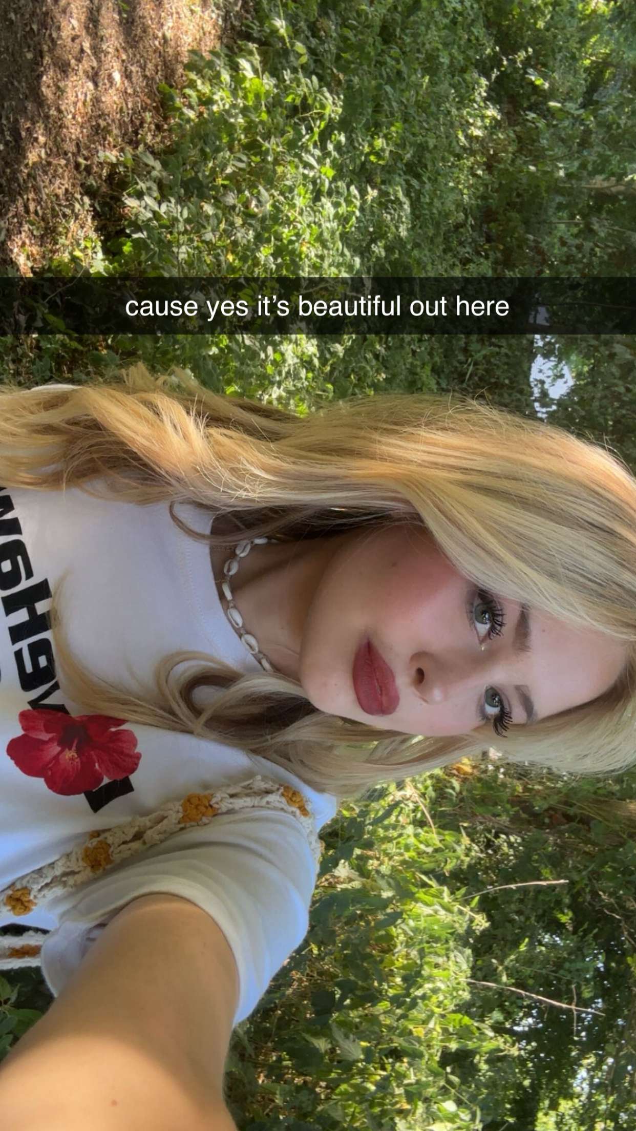 surfsterre snapchat image archive image