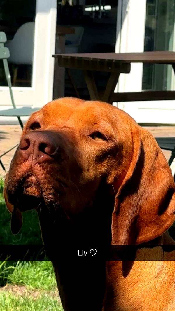 surfsterre image ~ Altpins