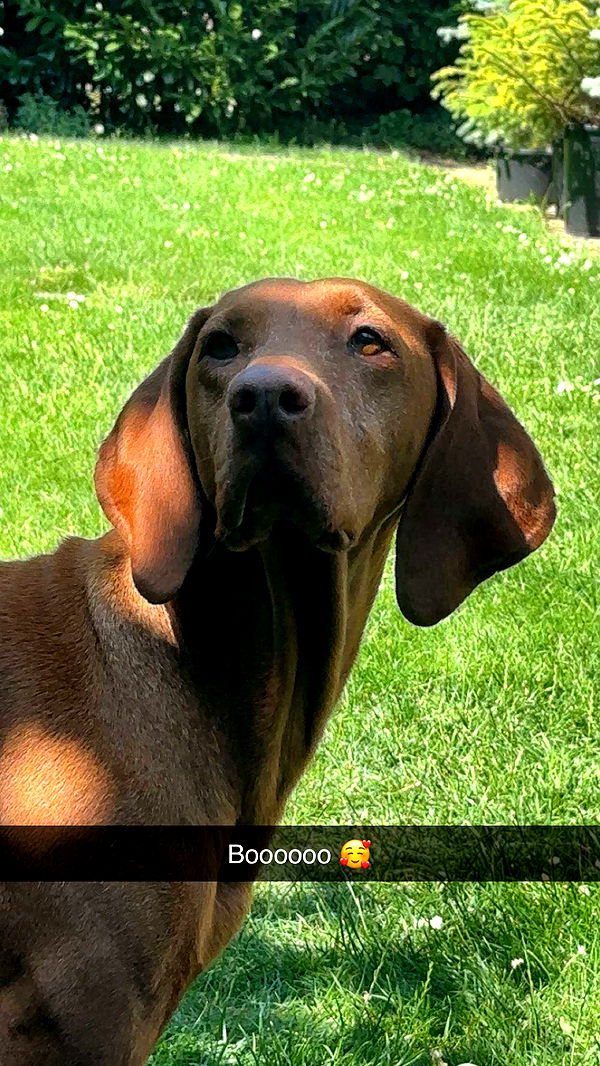 surfsterre image ~ Altpins