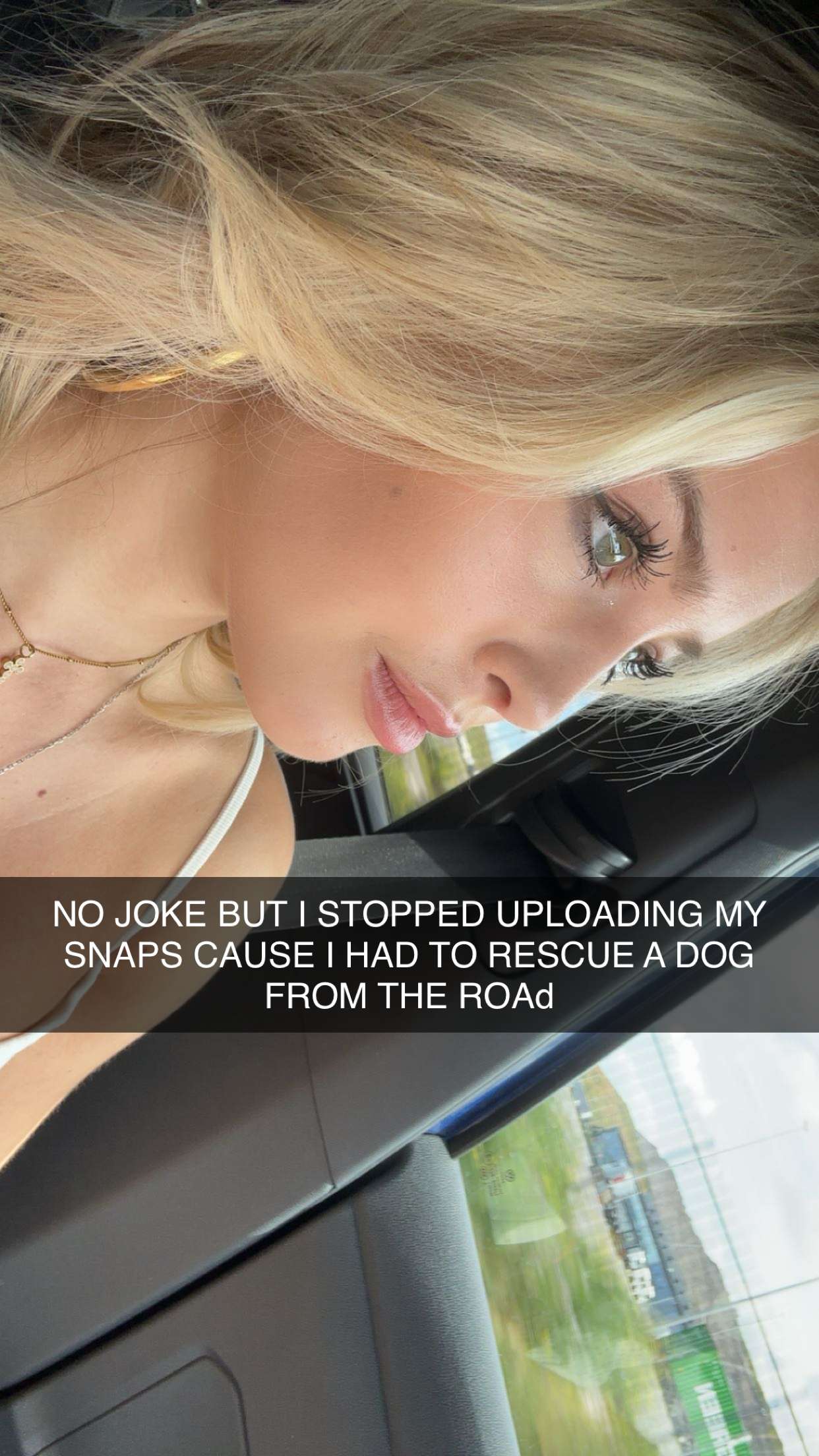 surfsterre snapchat image archive image