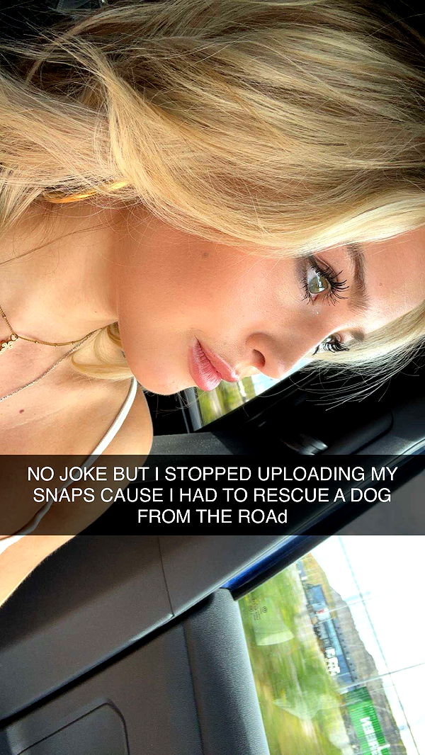 surfsterre image ~ Altpins