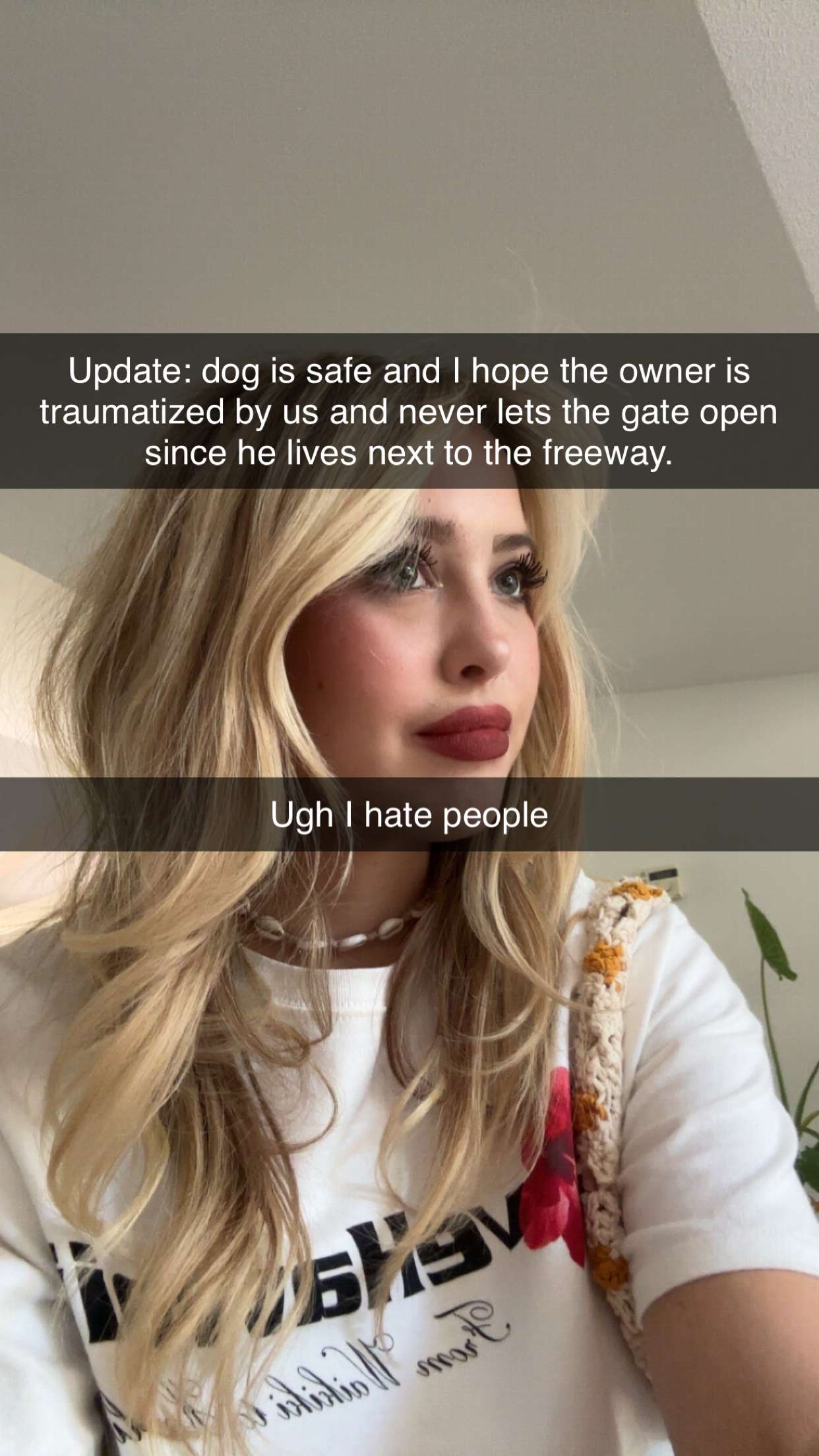 surfsterre snapchat image archive image