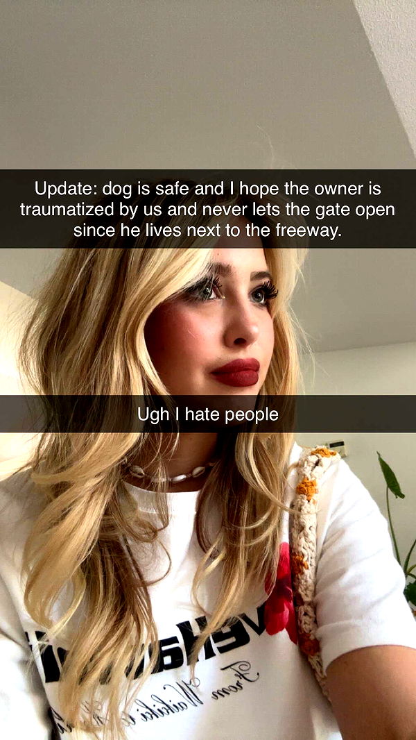 surfsterre image ~ Altpins