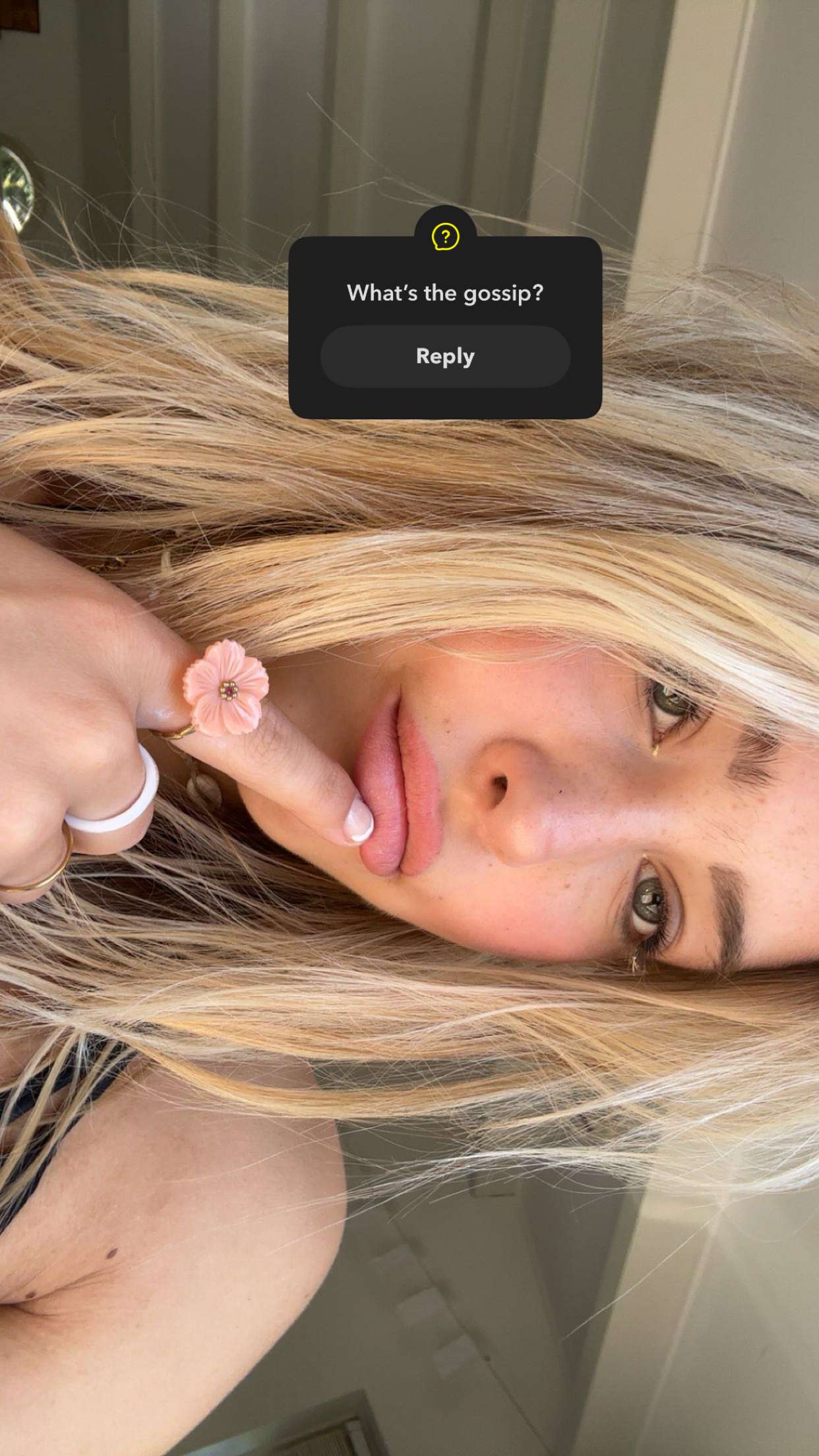 surfsterre snapchat image archive image