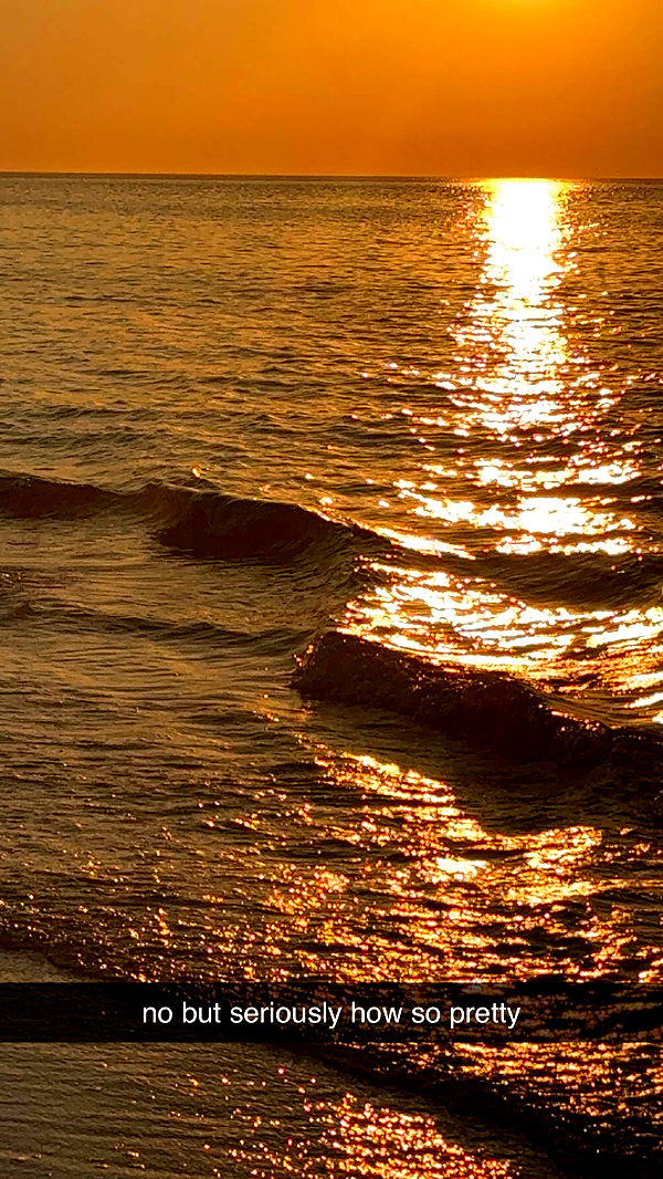 surfsterre image ~ Altpins