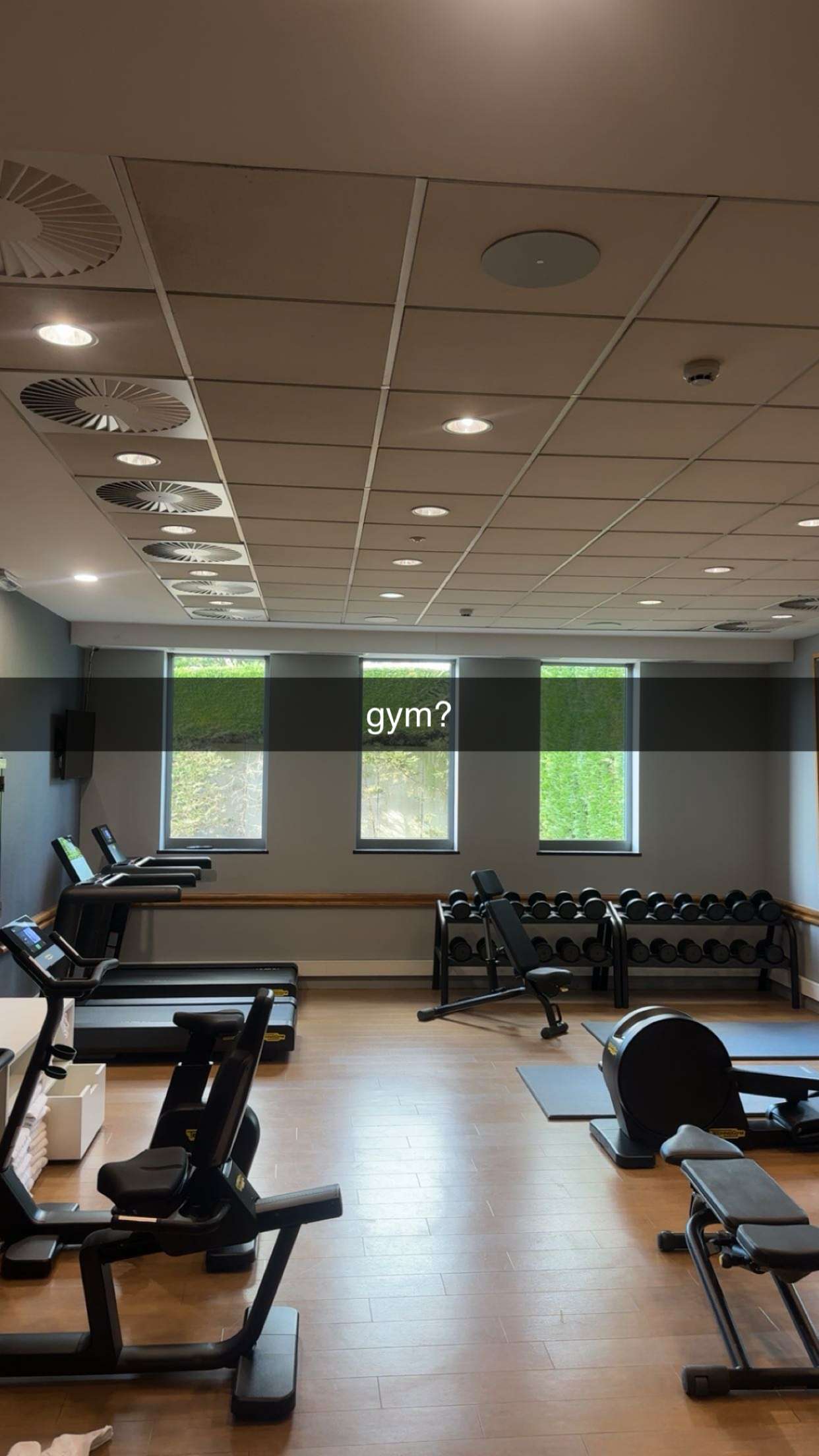 surfsterre snapchat image archive image