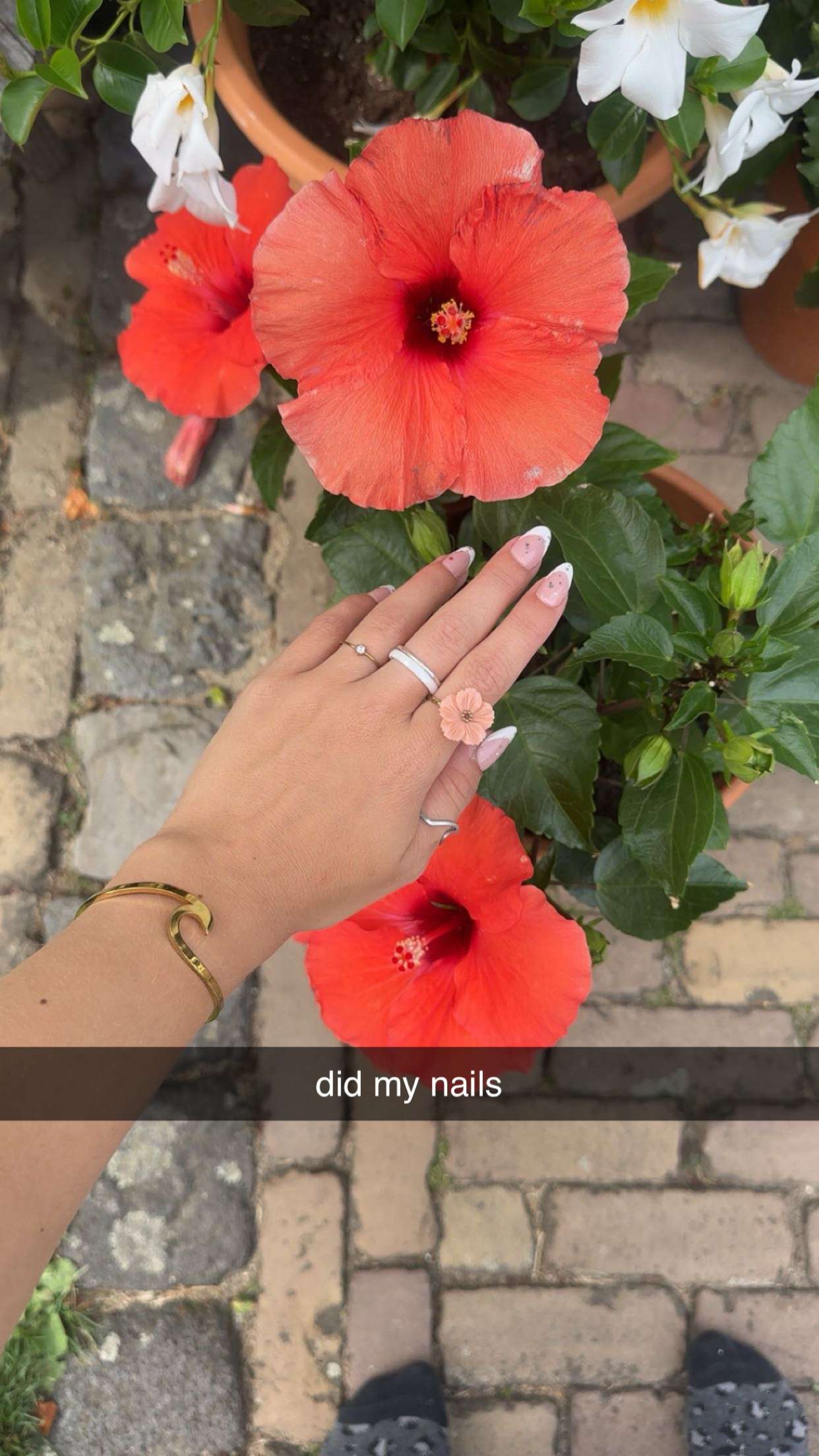 surfsterre snapchat image archive image