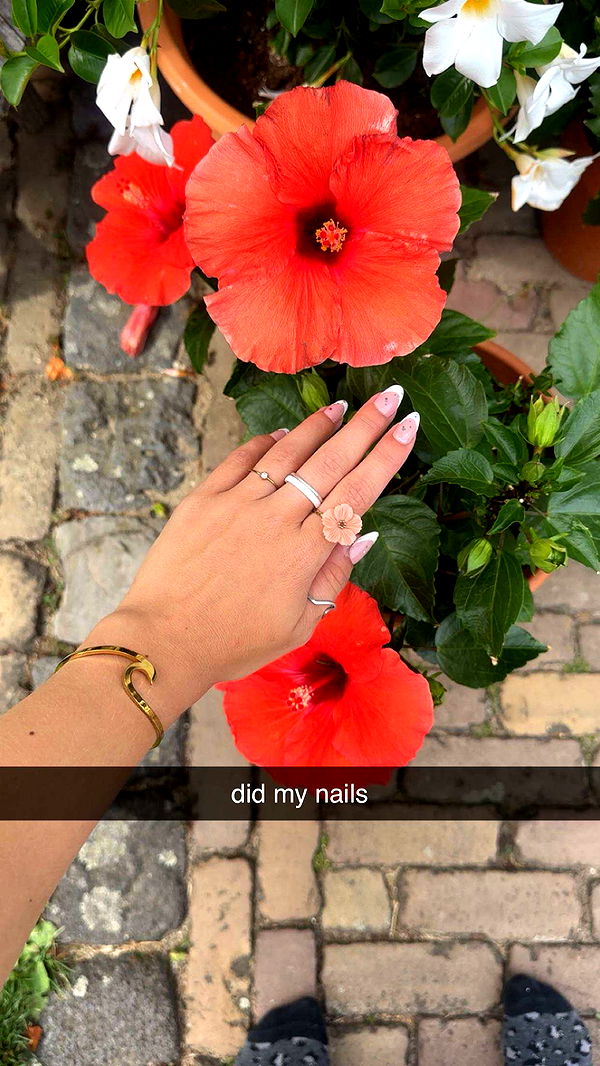 surfsterre image ~ Altpins