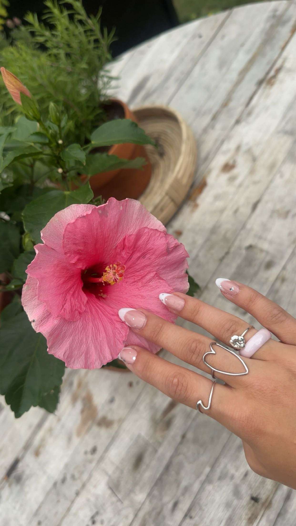 surfsterre snapchat image archive image