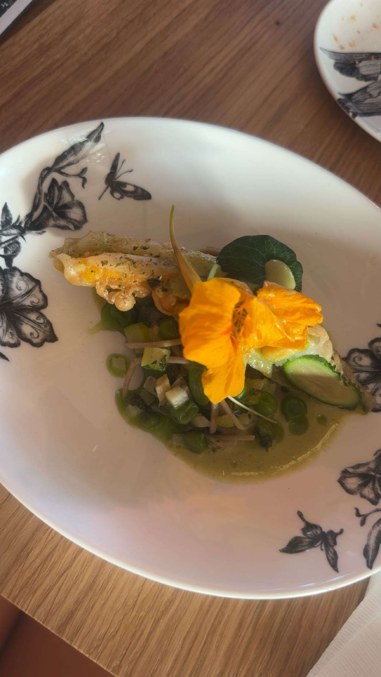 surfsterre snapchat image archive image