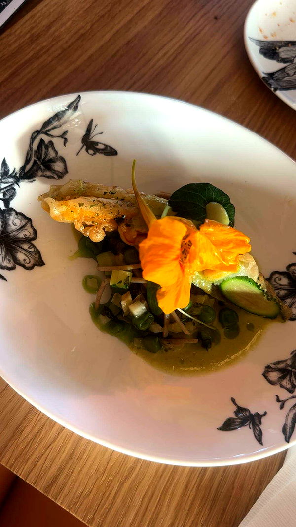 surfsterre image ~ Altpins