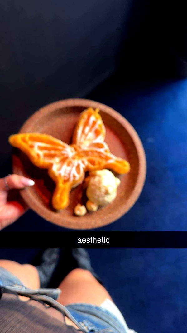 surfsterre image ~ Altpins