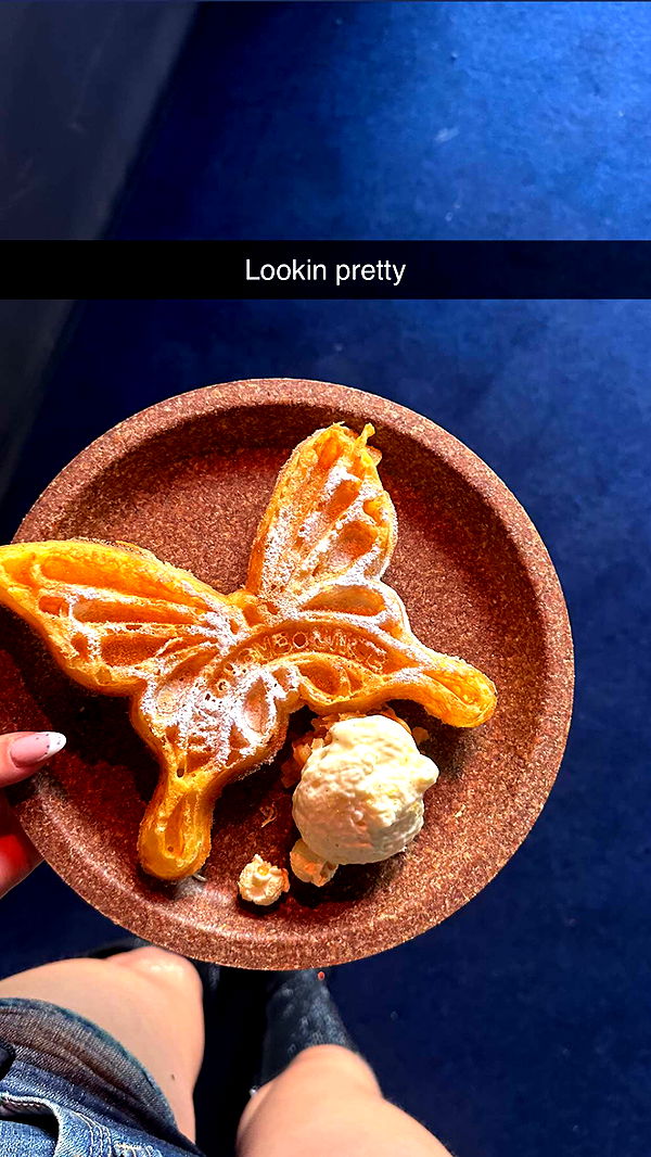 surfsterre image ~ Altpins