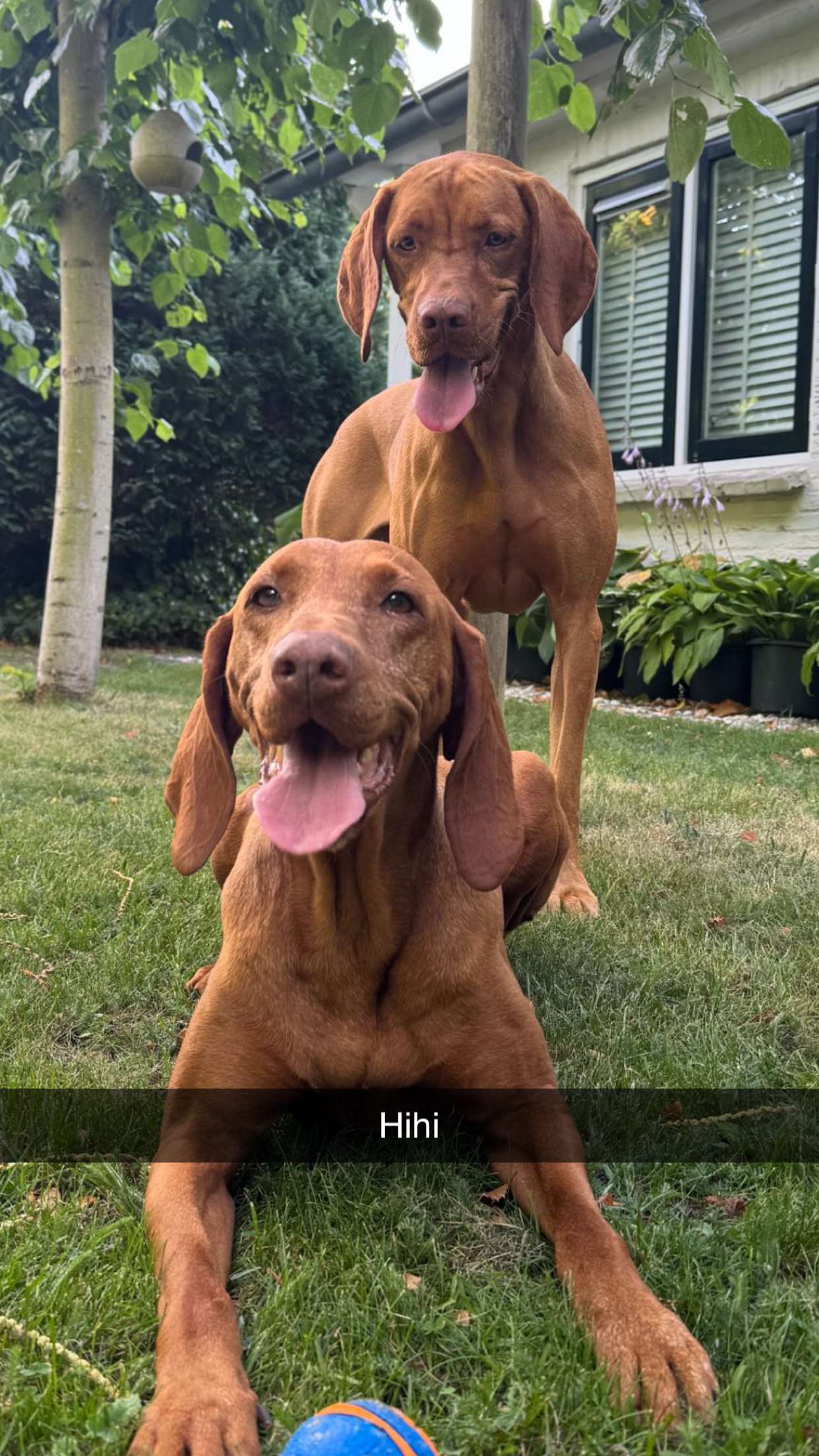 surfsterre snapchat image archive image