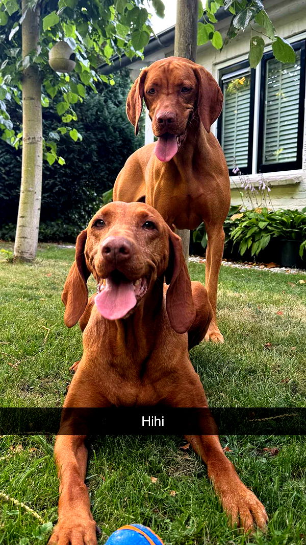 surfsterre image ~ Altpins