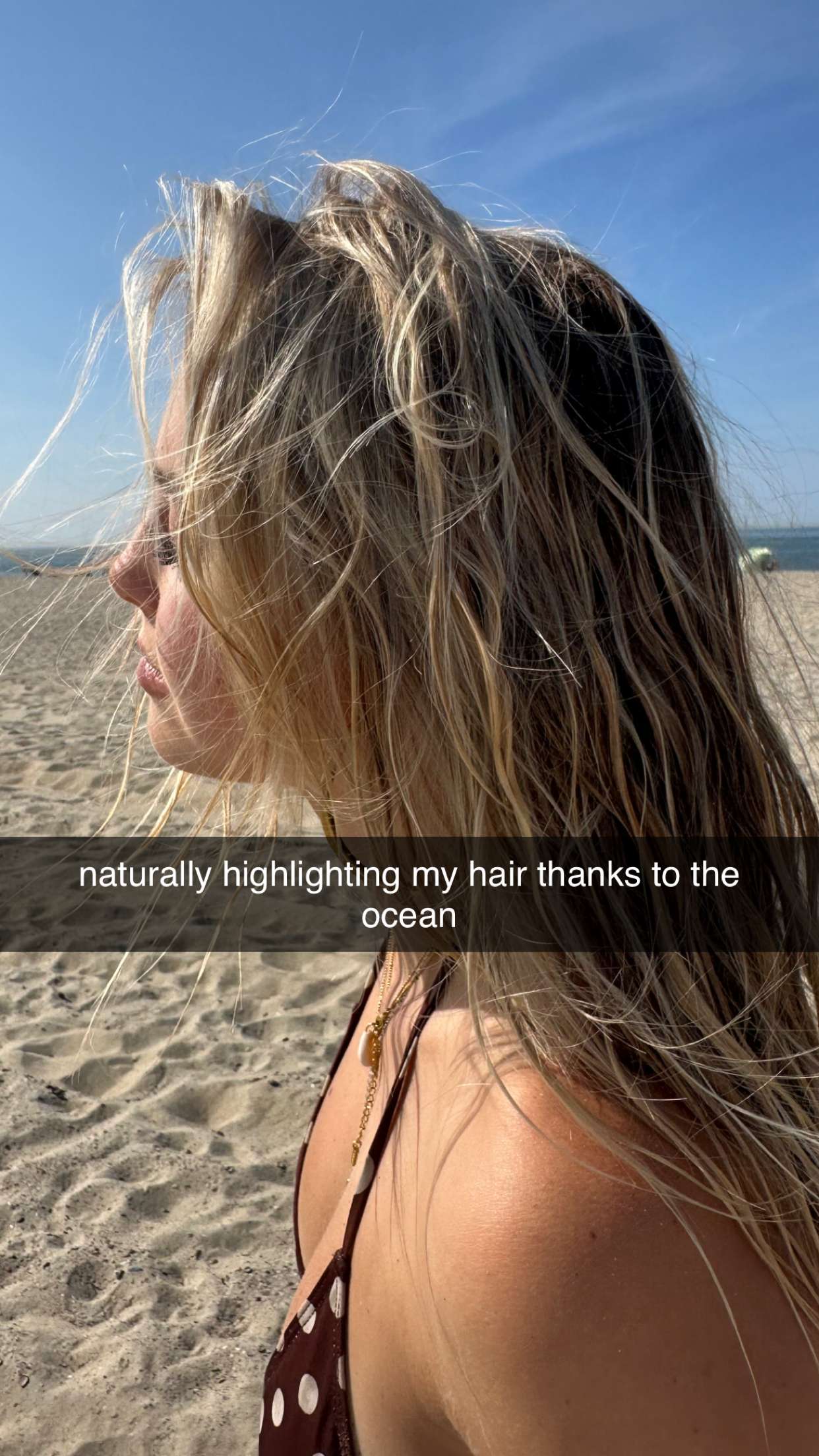 surfsterre snapchat image archive image