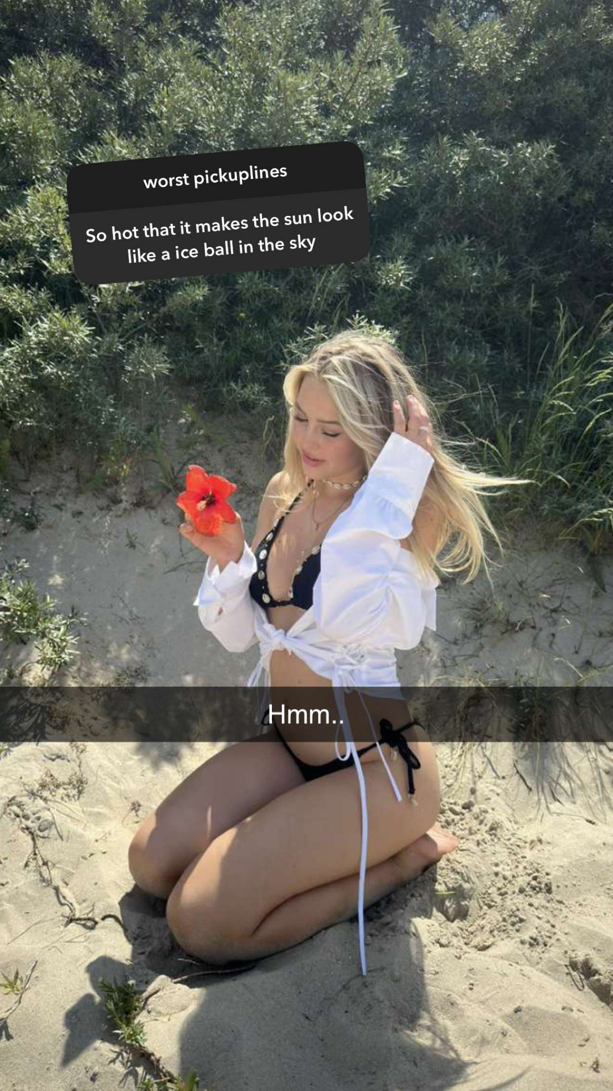 surfsterre snapchat image archive image