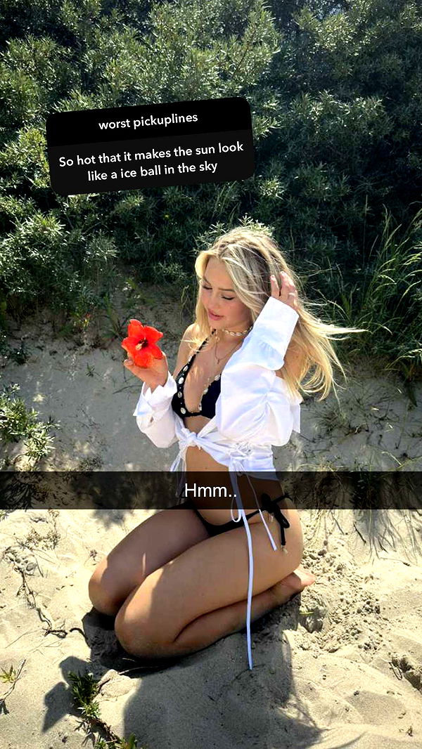 surfsterre image ~ Altpins