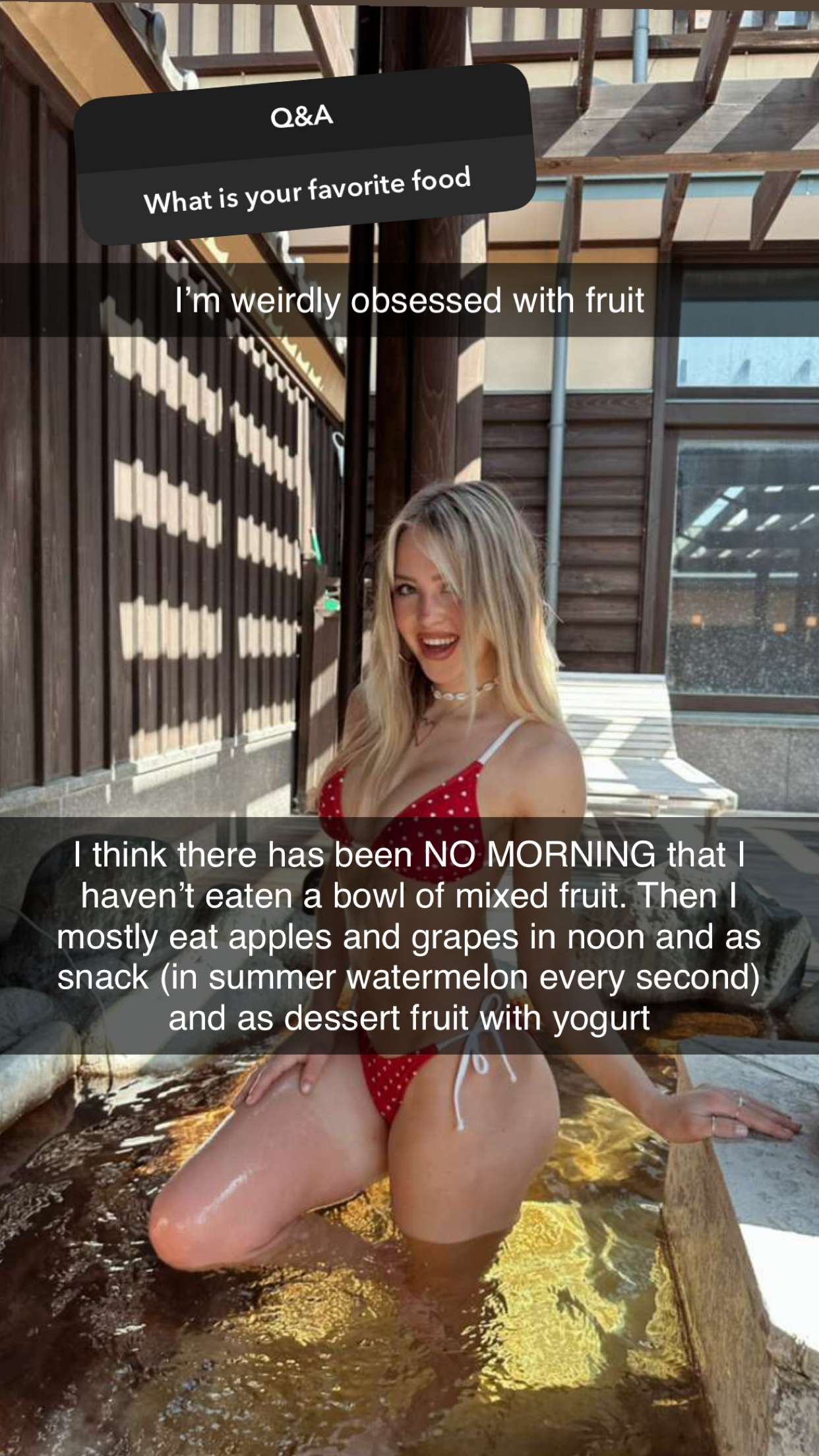 surfsterre snapchat image archive image