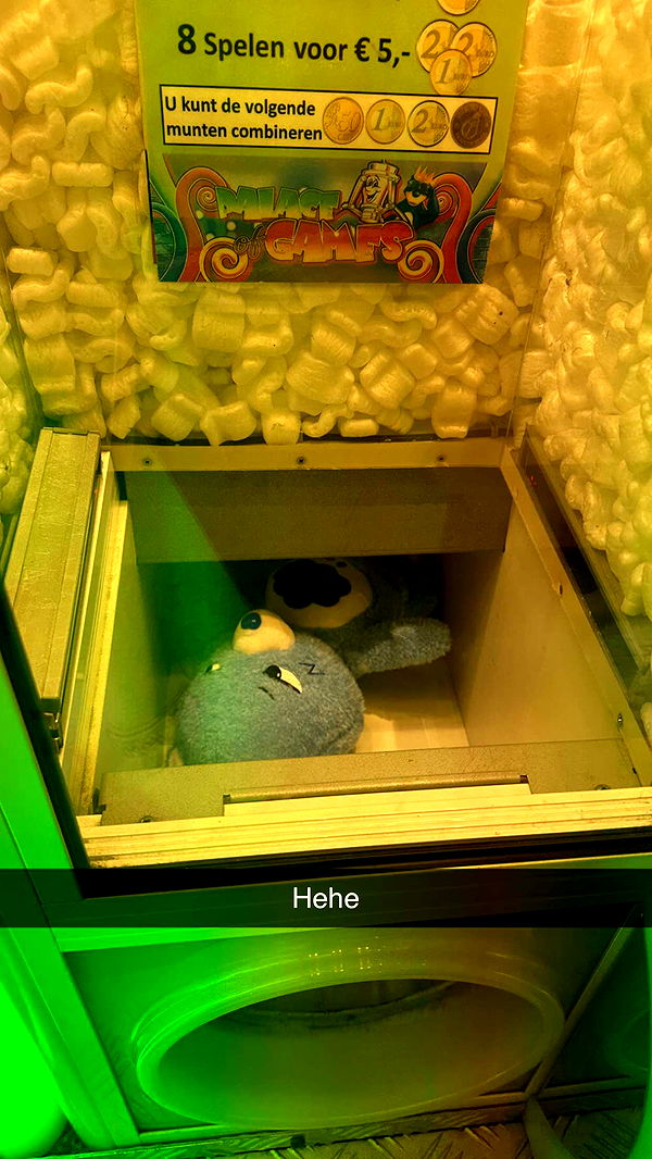 surfsterre image ~ Altpins