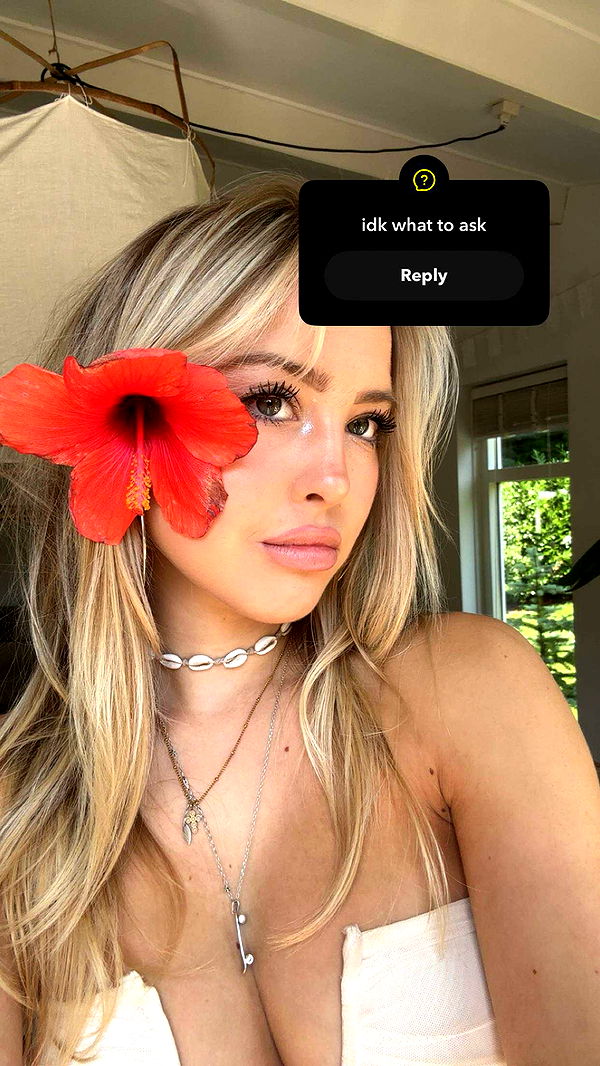 surfsterre image ~ Altpins