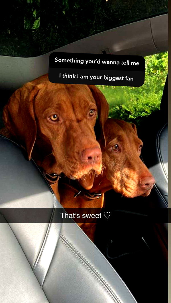 surfsterre image ~ Altpins