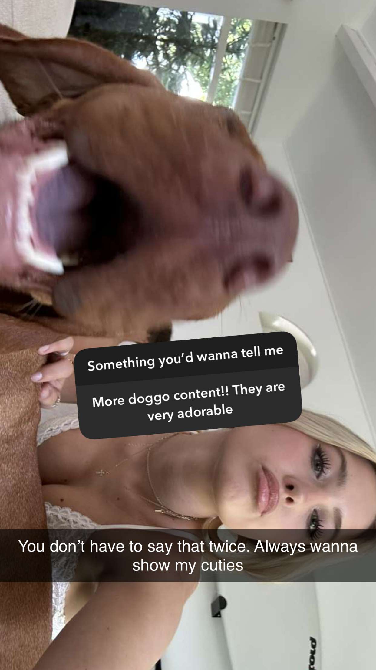 surfsterre snapchat image archive image