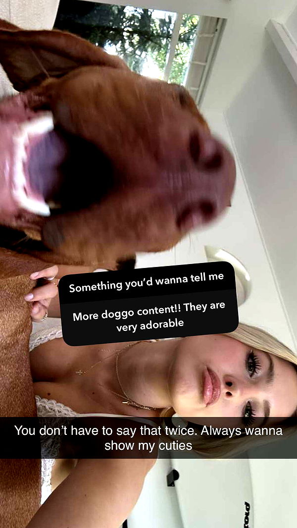 surfsterre image ~ Altpins