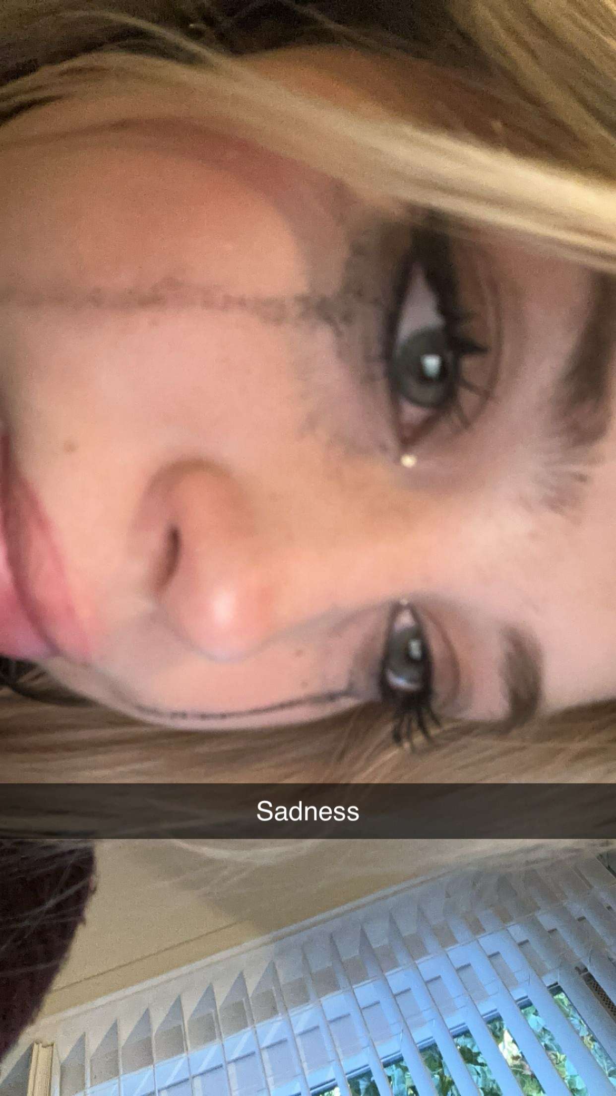 surfsterre snapchat image archive image