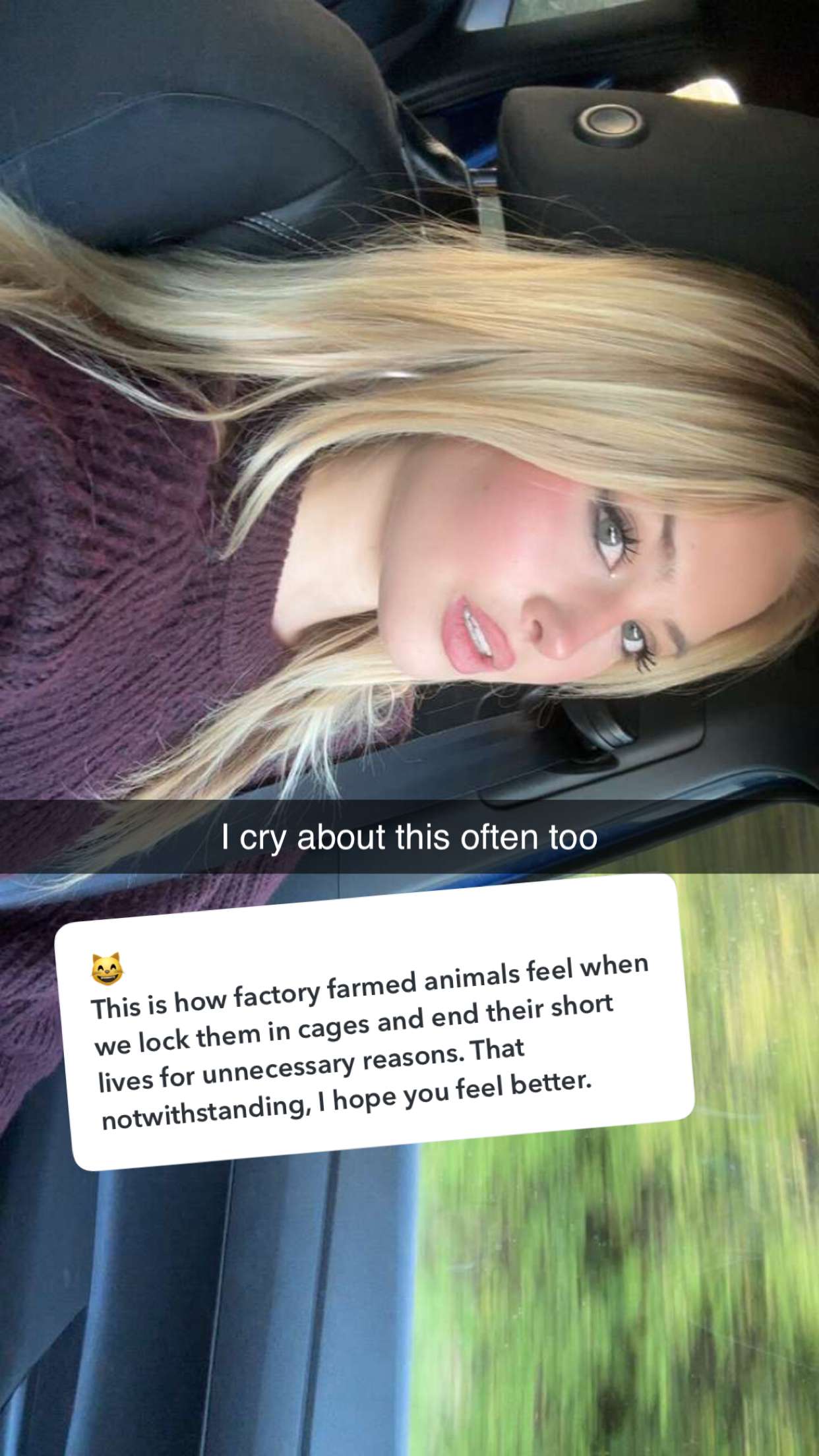 surfsterre snapchat image archive image