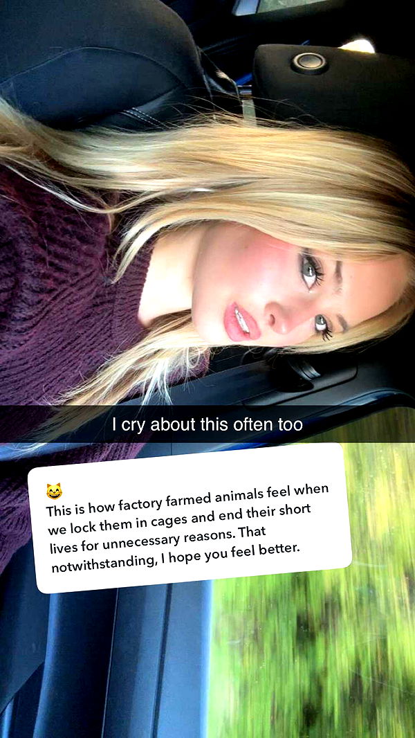 surfsterre image ~ Altpins