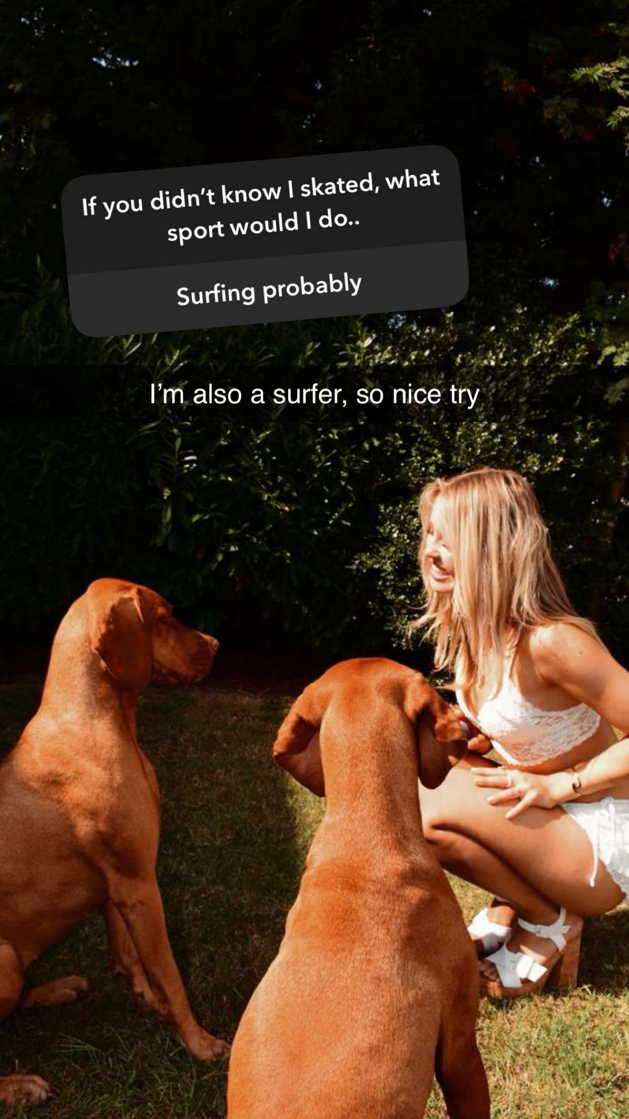 surfsterre snapchat image archive image
