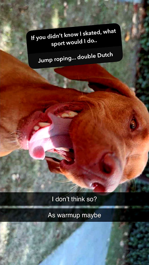 surfsterre image ~ Altpins